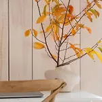 Apple Tree House